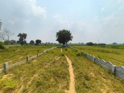 Image of 1200 Sq.ft Residential Plot / Land for sale in Bihta, Patna for Rs. 1920000