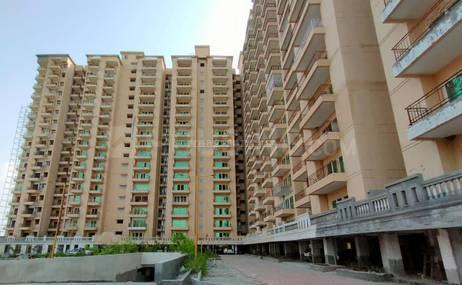 Migsun Roof Main Image 1