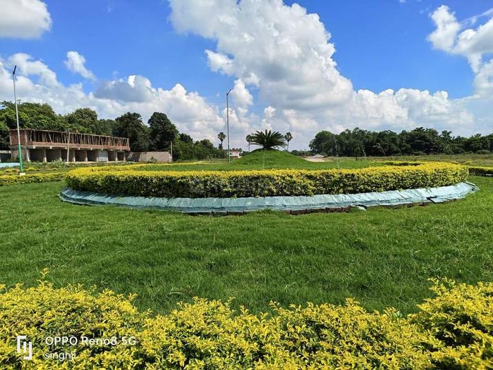 Ag Woods Main Image 1