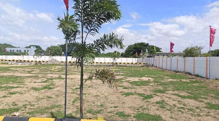 Kandigai Main Image 1