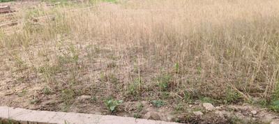 Image of 1360 Sq.ft Residential Plot / Land for sale in Balaji Buddha Heights, Sarnath, Varanasi for Rs. 4500000