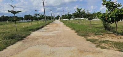 Image of 1500 Sq.ft Residential Plot / Land for sale in Yerpudu, Tirupathi for Rs. 1600000