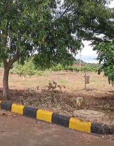 Image of 3303 Sq.ft Residential Plot / Land for sale in Woxen County Phase I, Vikarabad Town, Vikarabad for Rs. 5500000