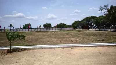 Image of 300 Sq.ft Residential Plot / Land for sale in Ponnekallu, Guntur for Rs. 5400000