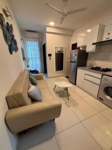 Hall Image of 465 Sq.ft 1 RK Apartment / Flat for rent in L And T Raintree Boulevard, Sahakara Nagar Bengaluru for Rs. 45000