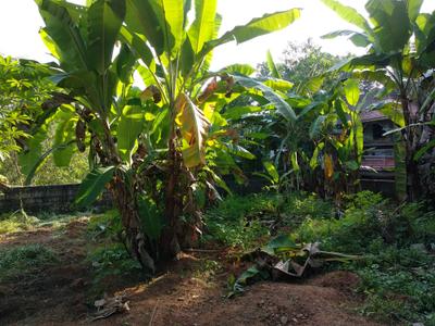 Image of 242 Sq.ft Residential Plot / Land for sale in Malayinkeezh, Thiruvananthapuram for Rs. 3900000