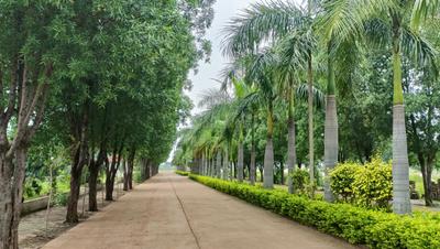 Image of 990 Sq.ft Residential Plot / Land for sale in Kandul, Raipur for Rs. 3150000