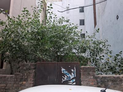 Block BG 7 Plot View 2