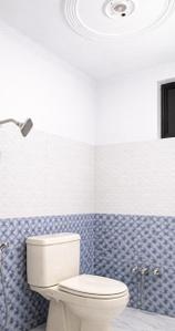 Bathroom Image of 750 Sq.ft 2 BHK Apartment / Flat for rent in Shahdara New Delhi for Rs. 10000