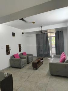 Hall Image of 1200 Sq.ft 3 BHK Apartment / Flat for rent in DDA SFS Flats, Sector 22 Dwarka New Delhi for Rs. 37000