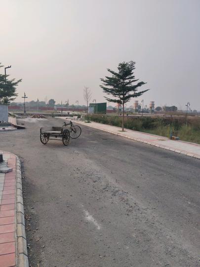 Skywhales Vienna Greens II Main Image 1