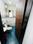Bathroom Image of oxo stay in Ghansoli, Navi Mumbai