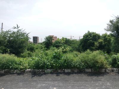 Triveni Galaxy Plot View 1