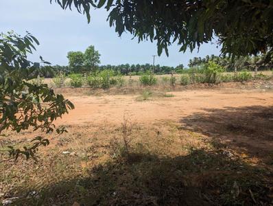 Image of 2620 Sq.ft Residential Plot / Land for sale in Nanjikottai, Thanjavur for Rs. 6550000
