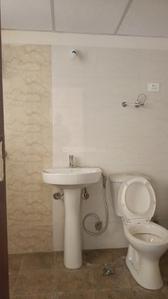Image of 1100 Sq.ft 3 BHK Apartment / Flat for sale in Amrapali Verona Heights, Noida Extension, Greater Noida for Rs. 9500000
