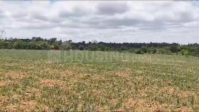 Image of 53240 Sq.ft Residential Plot / Land for sale in Aroodi, Bengaluru for Rs. 120000000