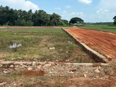 Image of 1200 Sq.ft Residential Plot / Land for sale in Dhauli, Bhubaneswar for Rs. 4200000