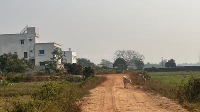 Image of 1352 Sq.ft Residential Plot / Land for sale in Patrapada, Bhubaneswar for Rs. 2963532