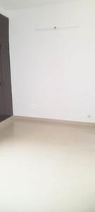 Hall Image of 800 Sq.ft 1 BHK Independent House for rent in Sector 19 Noida for Rs. 25000