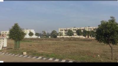 Image of 300 Sq.ft Residential Plot / Land for sale in Emaar Mohali Hills Plot, Sector 108, Mohali for Rs. 25500000