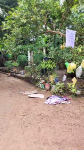 Image of 4000 Sq.ft Residential Plot / Land for sale in Changanassery, Kottayam for Rs. 500000