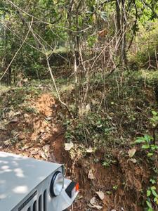 Image of 25000 Sq.ft Residential Plot / Land for sale in Thottilpalam, Kozhikode for Rs. 15400000