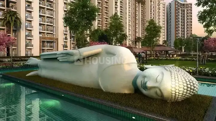 ACE Divino Main Image 1