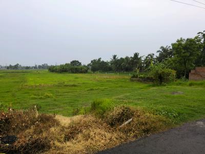 Golden city 2 plot Plot View 2