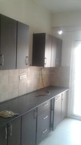 Kitchen Image of 2102 Sq.ft 4 BHK Apartment / Flat for rent in Trident Embassy, Noida Extension Greater Noida for Rs. 25000