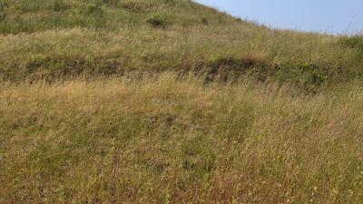 Image of 11000 Sq.ft Residential Plot / Land for sale in Bhor, Pune for Rs. 2100000