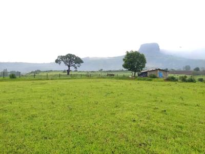 Image of 10764 Sq.ft Residential Plot / Land for sale in Trimbak, Nashik for Rs. 4000000