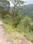 Morni Main Image 1