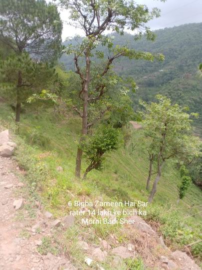 Morni Main Image 1