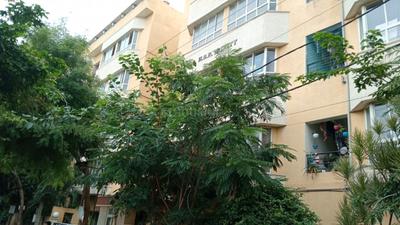 Image of 1090 Sq.ft 2 BHK Apartment / Flat for sale in Jai Bhuvan HSR Trinity, Muneshwara Nagar, Bengaluru for Rs. 5500000