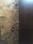 Bathroom Image of The Safe House PG in DLF Phase 4, Gurgaon