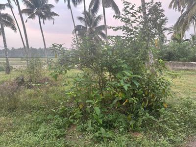 Image of 4356 Sq.ft Residential Plot / Land for sale in Chettupuzha, Thrissur for Rs. 5250000