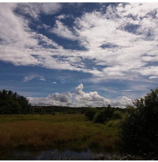 Vodlemol Cacora Main Image 1