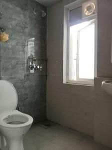 Common Bathroom Image of 750 Sq.ft 2 BHK Apartment / Flat for sale in Amrapali Dream Valley 2, Noida Extension Greater Noida for Rs. 6380500
