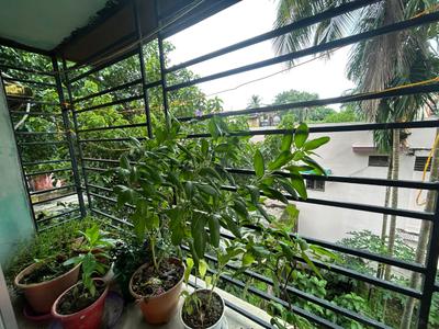 Balcony Image of 750 Sq.ft 2 BHK Apartment / Flat for sale in Dakshineswar Kolkata for Rs. 2700000