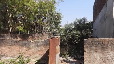 Jhusi Plot View 3