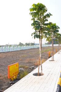 Image of 180 Sq.ft Residential Plot / Land for sale in Agatha Varappadu, Guntur for Rs. 1320000