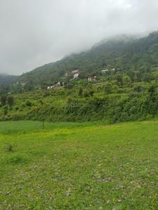 Image of 2160 Sq.ft Residential Plot / Land for sale in Naukuchitatal, Nainital for Rs. 3000000