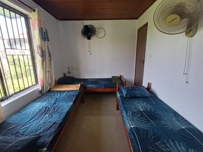 Image of Subhiksha Mendon in South Chittoor, Ernakulam