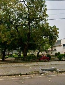 Image of 1600 Sq.ft 6 BHK Independent House for sale in Sector 32, Chandigarh for Rs. 70000000