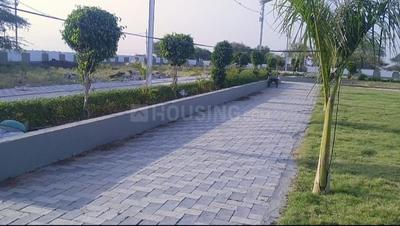 Behta Plot View 2