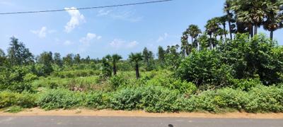 Image of 1060 Sq.ft Residential Plot / Land for sale in Bhogapuram, Vizianagaram for Rs. 7500000