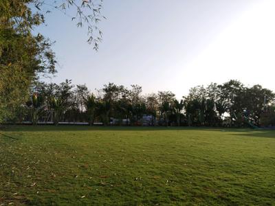 Image of 9000 Sq.ft Residential Plot / Land for sale in Natures Edge, Bavlu, Ahmedabad for Rs. 11500000