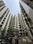 Lodha Palava Orchid Main Image 1