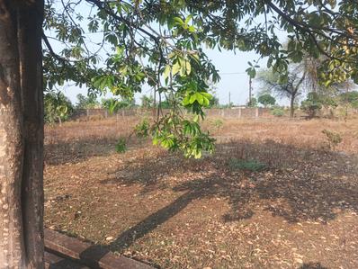 Image of 1250 Sq.ft 2 BHK Independent House for sale in Sakri, Bilaspur for Rs. 4000000