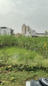 Residential Plot